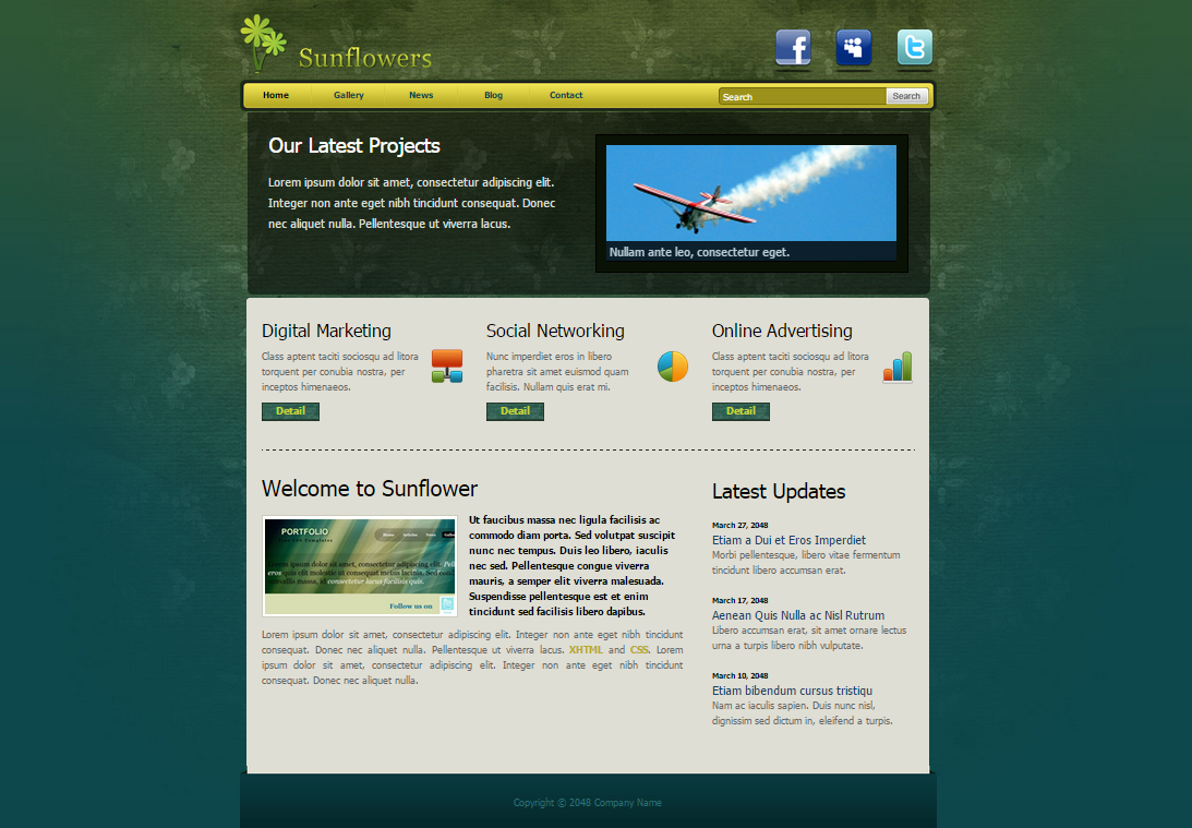 website templates